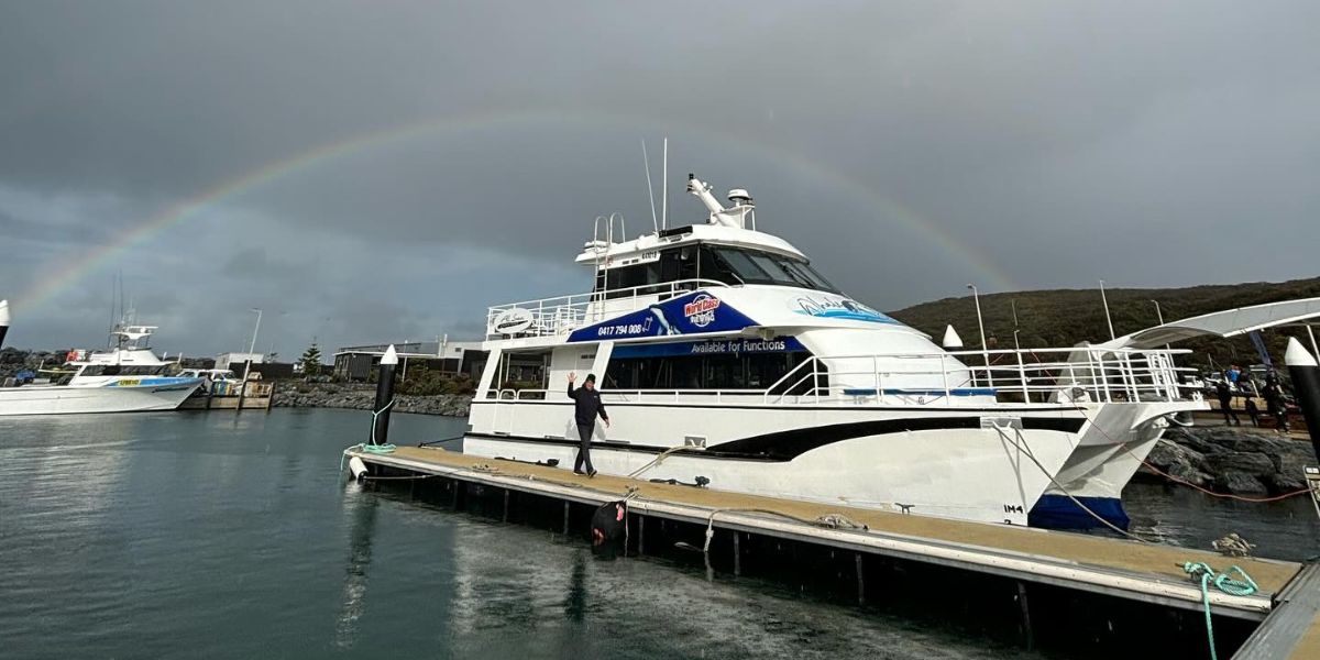 Whale Song All Sea Charters Boat Under a Rainbow